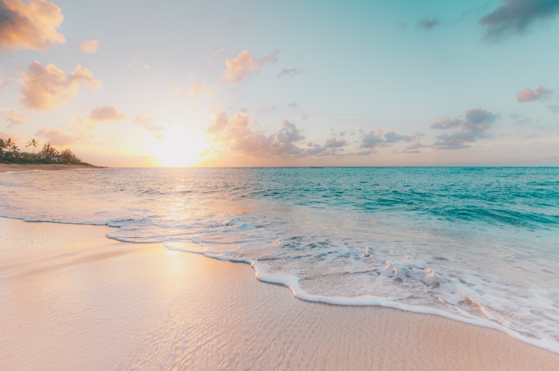 Beach Visit